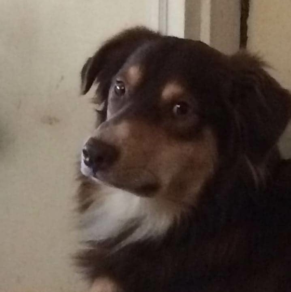 Meet your Posher, Danielle - Picture 12 of 12